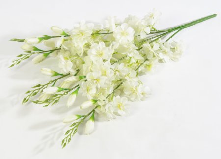 Яблоня "Астарта" 5 веток