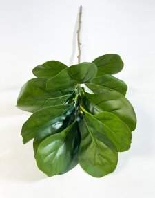 картинка Ветка лирата 13 листов от магазина KALINA