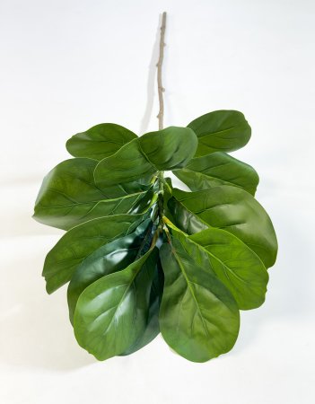 картинка Ветка лирата 13 листов от магазина KALINA