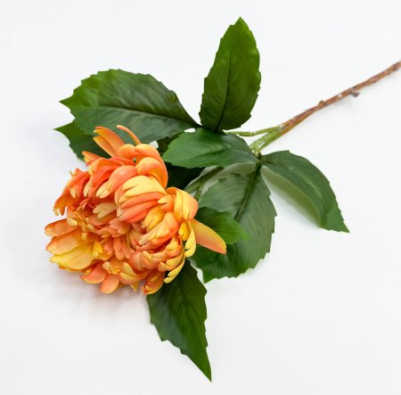 Хризантема ярко-оранжевая