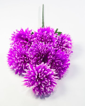 Букет хризантемы "Талисман" 7 цветков