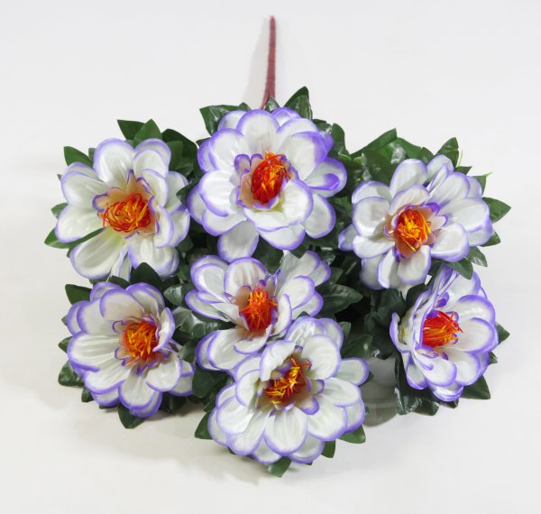 Букет георгина "Ласка" 7 цветков