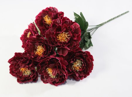 Пион "Натула" 7 цветков