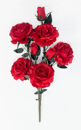 Роза "Карнавал" 5 цветков 3 бутона