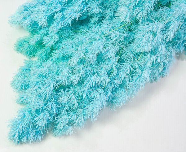 Аспарагус стабилизированный 3