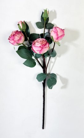 Ветка пионовидной розы Октава розовая