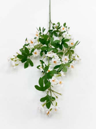 Цветущая вишня "Зефирное утро" белая