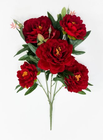 Пион "Хвала" 5 цветков