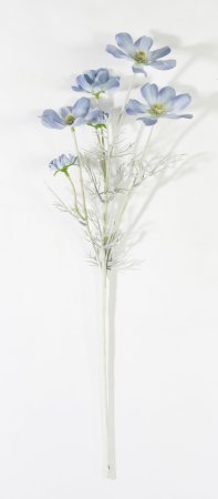 Ветка космеи голубая