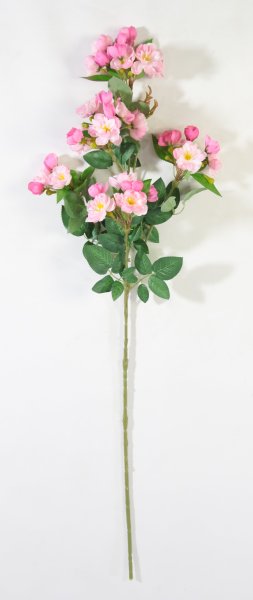 Ветка яблони "Гала" розовая