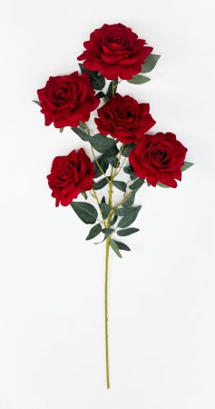 Роза "Овация" 5 цветков