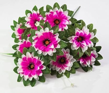 Георгин "Дуэт" 9 цветков  от магазина KALINA являющийся официальным дистрибьютором в России 