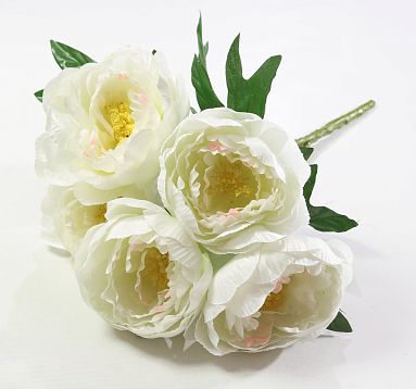 Букет пиона "Мэджик" 5 цветков от магазина KALINA являющийся официальным дистрибьютором в России 