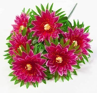 Астра "Лимбо" 6 цветков от магазина KALINA являющийся официальным дистрибьютором в России 
