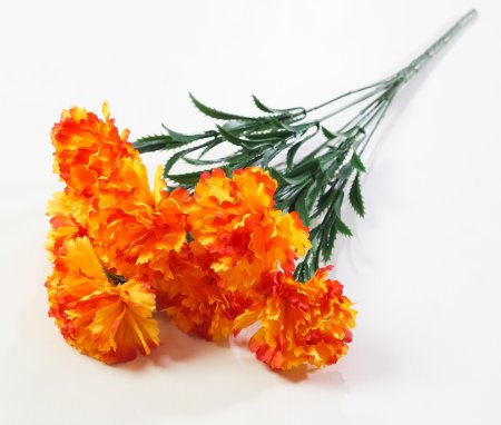 Гвоздика "Триумф" 7 цветков