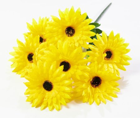 Букет гербер "Липстик" 7 цветков