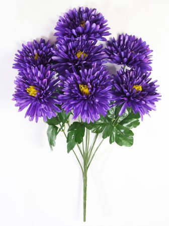 Астра Богиня солнца 7 цветков