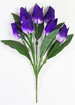Тюльпан "Синичка" 7 цветков от магазина KALINA являющийся официальным дистрибьютором в России 