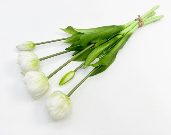 Тюльпан "Круглый" белый