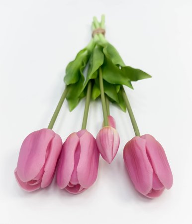 Тюльпан "Корона весны" светло-розовый