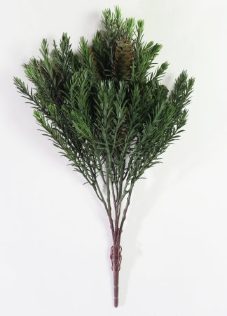 картинка Ветка с шишками "Лето" от магазина KALINA