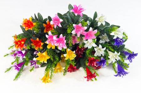 Лилия "Фотон" 7 цветков