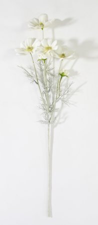 Ветка космеи белая