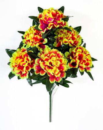 Букет шафрана "Рассвет" 6 цветков