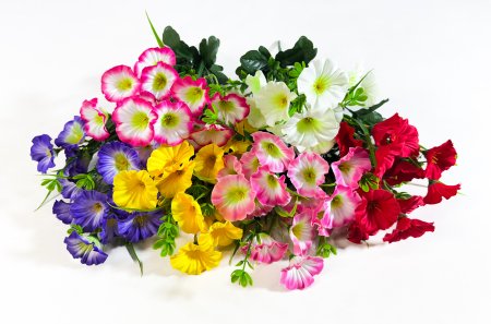 Петуния 15 цветков