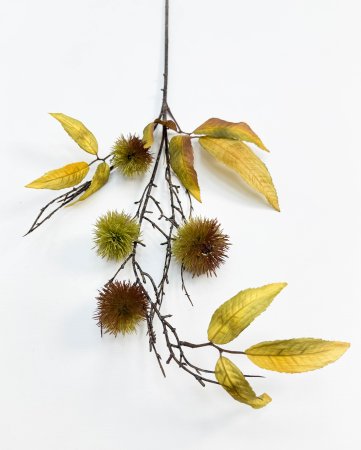 Ветка каштана