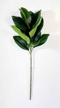 картинка Ветка магнолии 13 листов от магазина KALINA