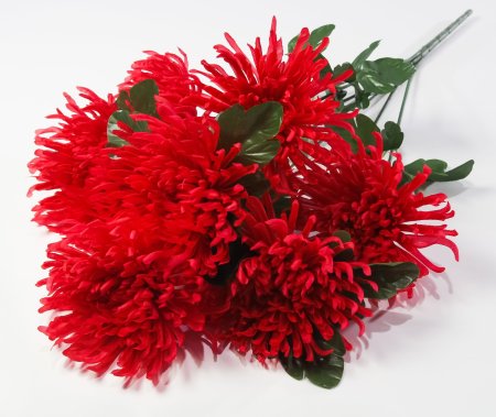 Астра "Кардинал" 7 цветков