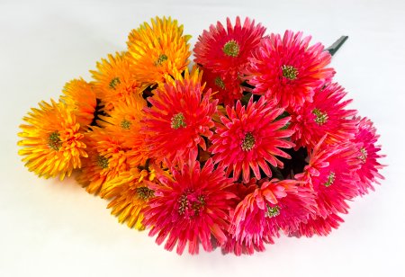 Астра "Супер гигант" 13 цветков