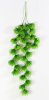 картинка Декоративная ампельная зелень 2 от магазина KALINA
