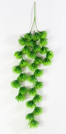 картинка Декоративная ампельная зелень 2 от магазина KALINA