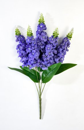 Дельфиниум 5 соцветий