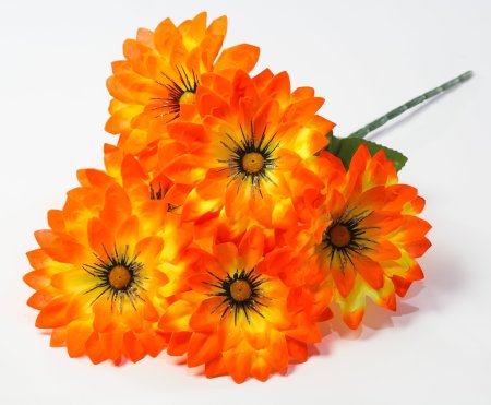 Георгин "Алинка" 6 цветков