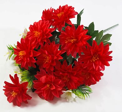 Георгин "Авиньон гигант" 12 цветков от магазина KALINA являющийся официальным дистрибьютором в России 