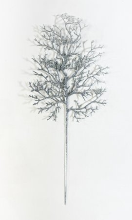 Лист водоросли серебро