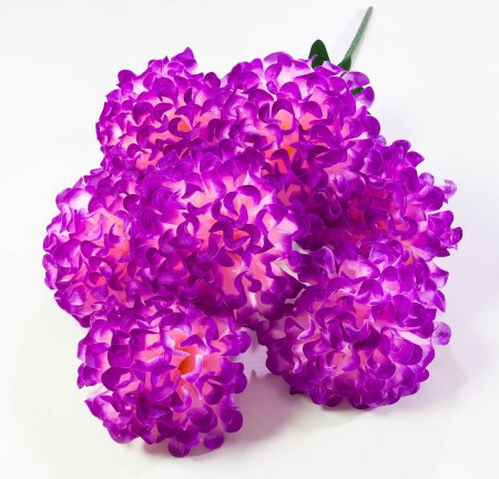 Шафран махровый 7 веток