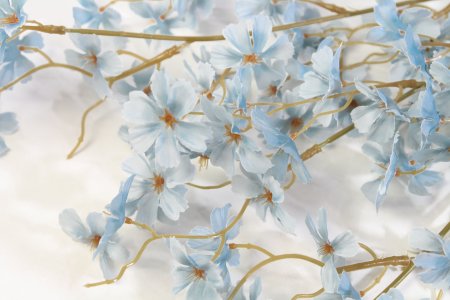 Ветка сакуры Сезон пыльно-голубой