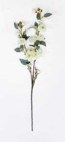 Сакура "Самурайский бутон" белая