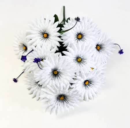 Ромашки "Реснички блеск" 13 цветков