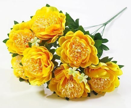 Пион "Миледи" 7 цветков от магазина KALINA являющийся официальным дистрибьютором в России 