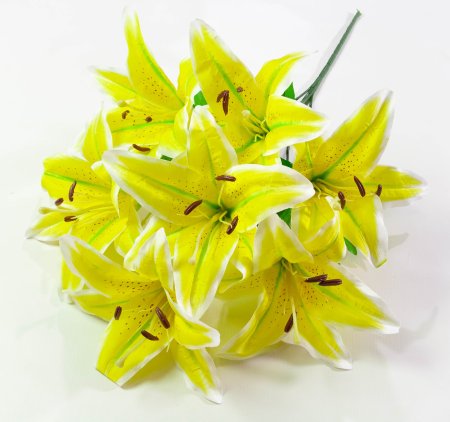 Лилия "Арабская ночь" 7 цветков