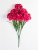 Букет гвоздик "Вишенка" 9 цветков