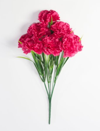 Букет гвоздик "Вишенка" 9 цветков