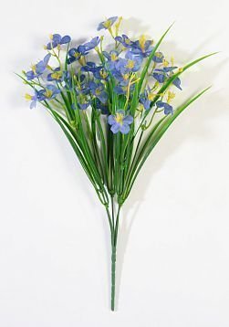 Букет незабудок 35 цветков от магазина KALINA являющийся официальным дистрибьютором в России 