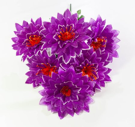 eaa299422c5371e46bbb32f43d6eb3f1