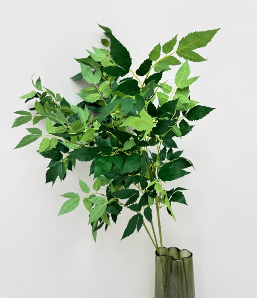 картинка Астильба японская на высокой ноге от магазина KALINA